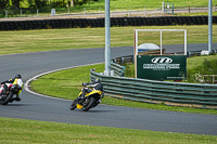 Middle Group Yellow Bikes